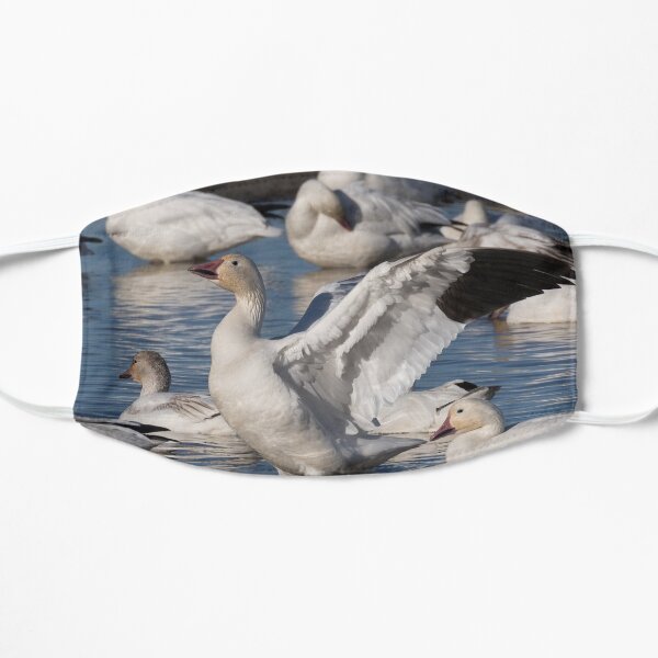 Snow Goose Celebration Mask