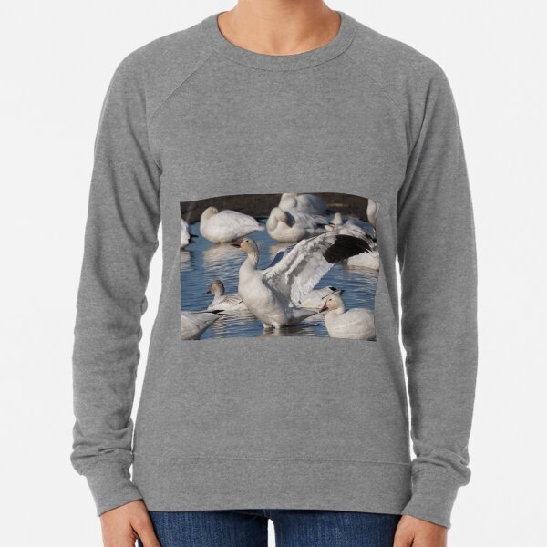 Snow Goose Celebration Lightweight Sweatshirt