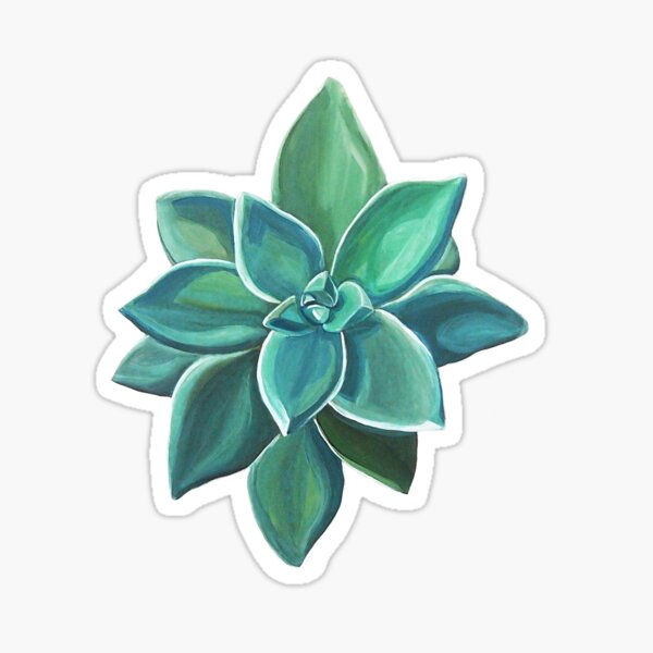 Succulent Sticker
