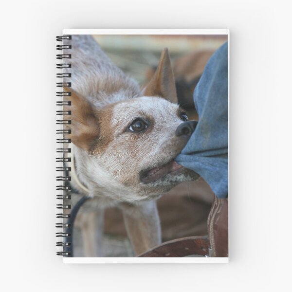 Item preview, Blue Heeler Tugging Jeans designed and sold by Rodeo-Photos.