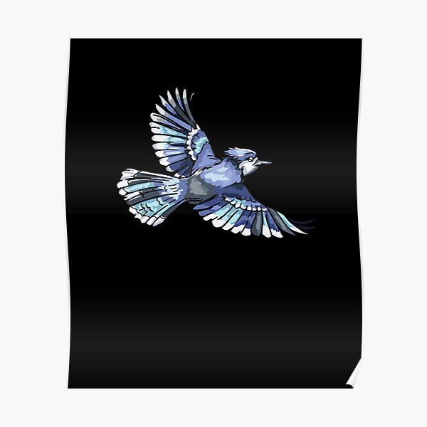 Baby Blue Jay Poster for Sale by Eggtooth