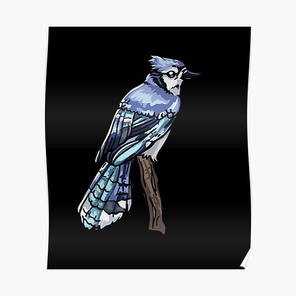 Blue Jay drawing, This weekend's project is this blue jay d…