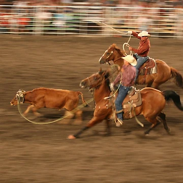Artwork thumbnail, Rodeo Team Ropers Action Shot by Rodeo-Photos