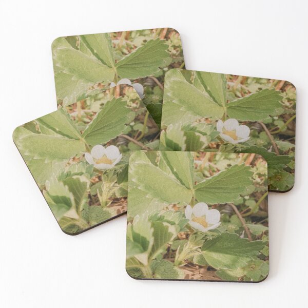 Item preview, Retro White Strawberry Blossom Flower Retro Photo designed and sold by graemariedesign.