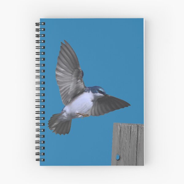 Item preview, Landing Tree Swallow designed and sold by cherylorraine.