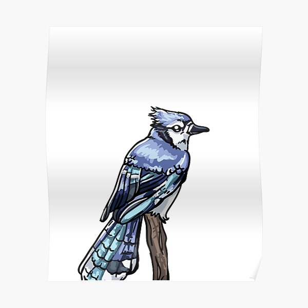 Drawing of the week: Blue Jay Bird – Ella's Place