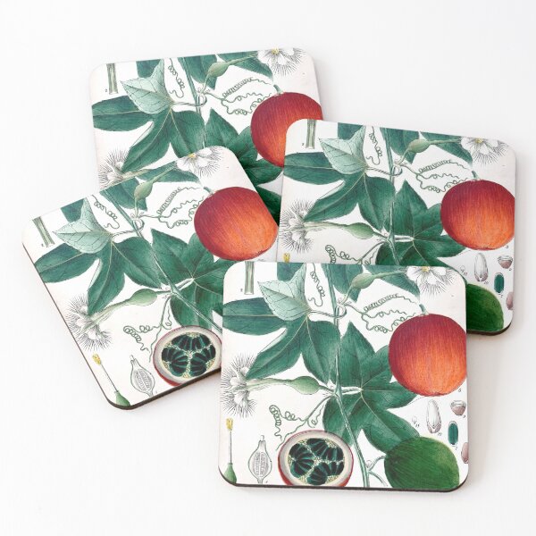 Item preview, trichosanthes palmata botanical illustration designed and sold by Yviemakes.