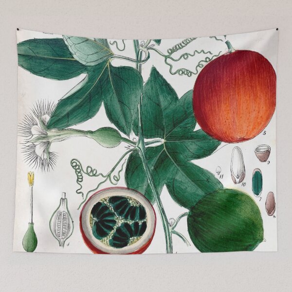 Item preview, trichosanthes palmata botanical illustration designed and sold by Yviemakes.