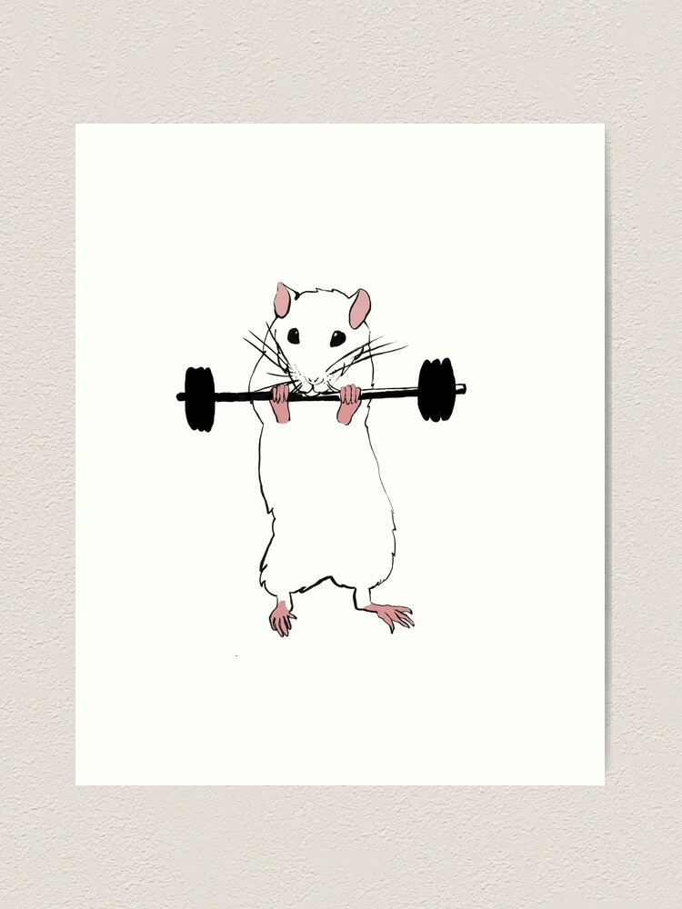 Gym Rat Wall Art, Canvas Prints, Framed Prints, Wall Peels