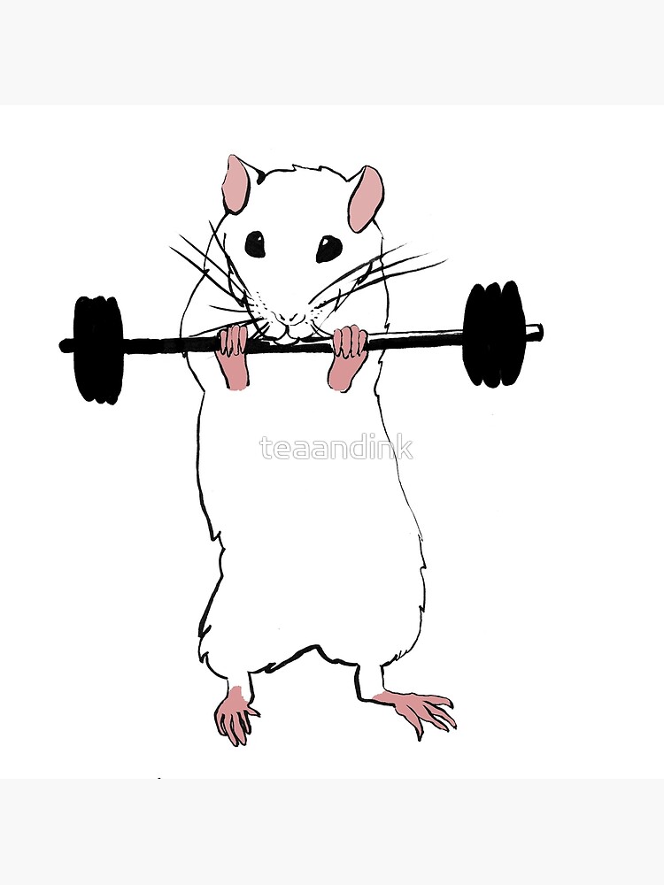 Deadlift Rat Sticker for Sale by teaandink