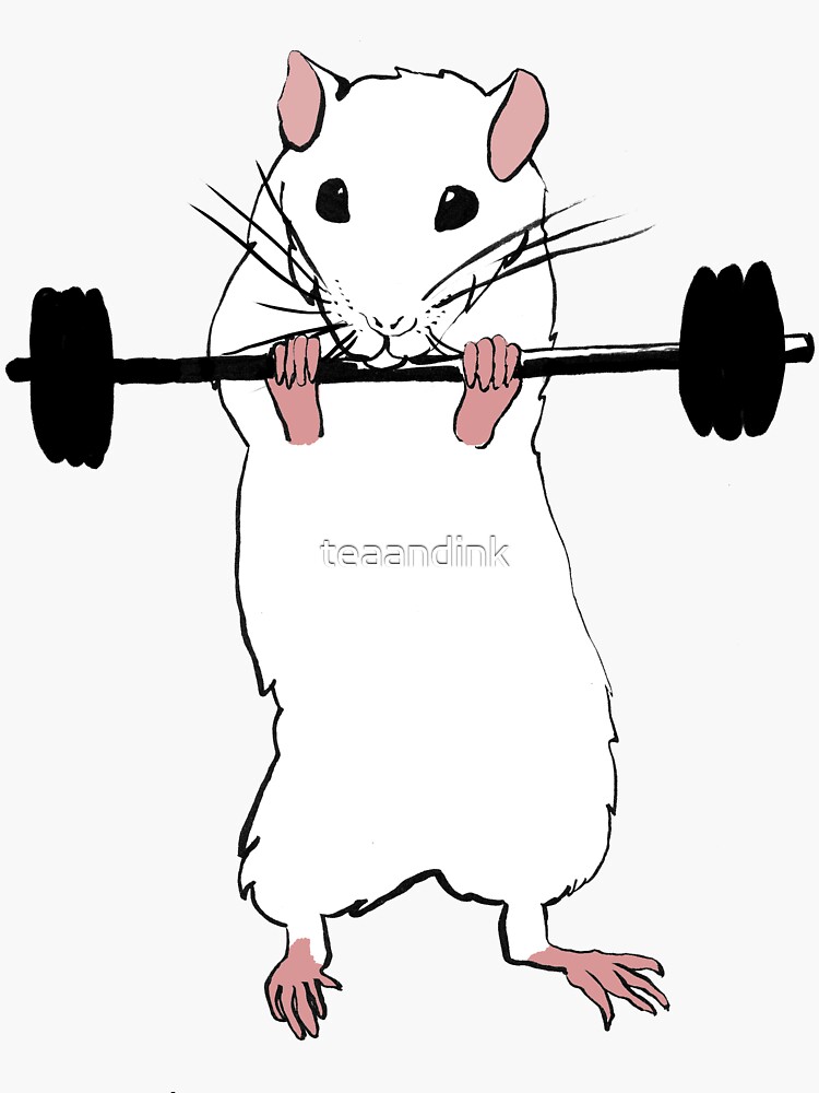 Deadlift Rat Sticker for Sale by teaandink