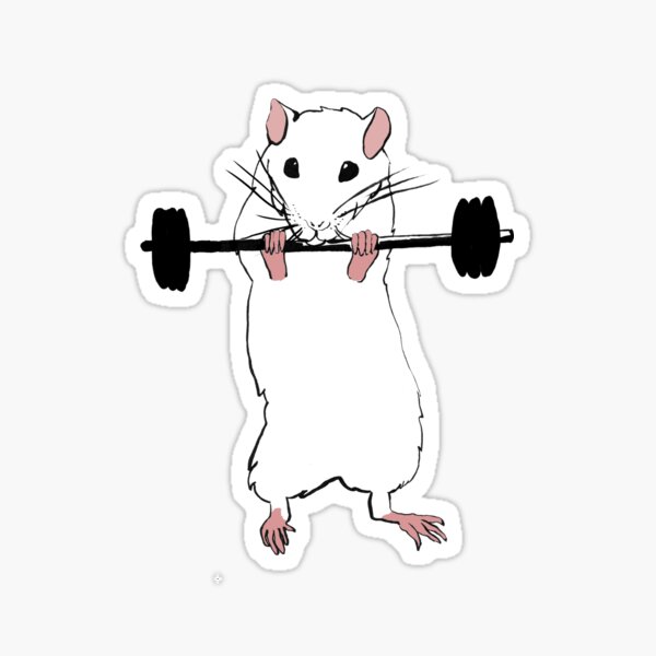 Gym rat Sticker for Sale by gabster69