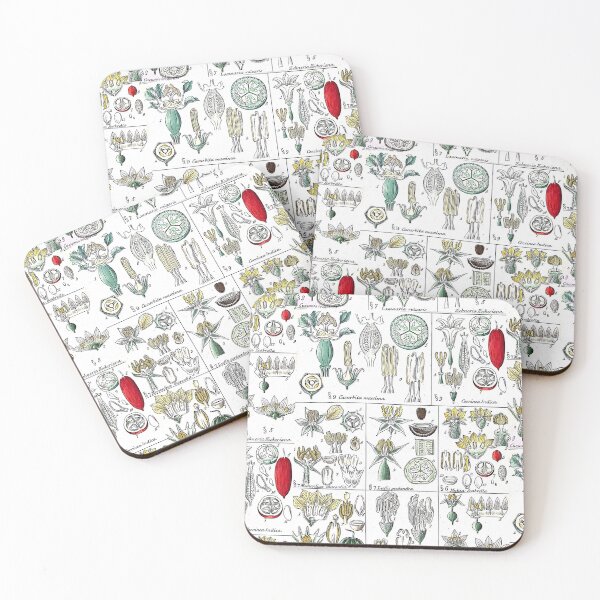 Item preview, Flowering Plant Parts Diagram designed and sold by Yviemakes.