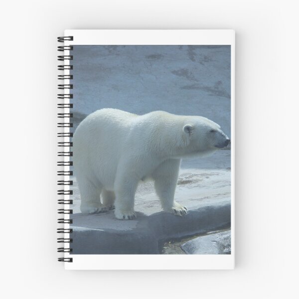 Item preview, Bear Image designed and sold by Jodes16.