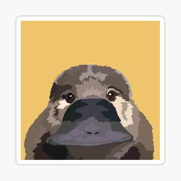 Item preview, Petrova Platypus on a Yellow Background designed and sold by NattyDesigns.