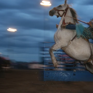 Artwork thumbnail, Bareback Bronc Rider by Rodeo-Photos