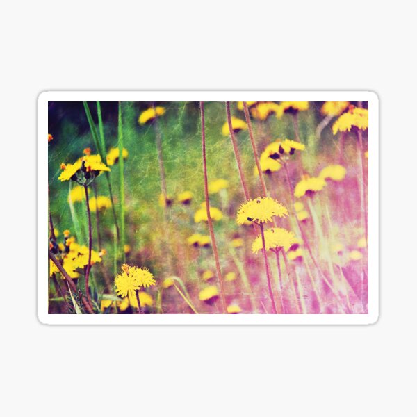 Vintage 6 Sticker
