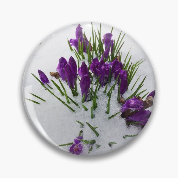 Item preview, Crocus in the snow designed and sold by SarahCD13.