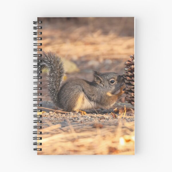 Item preview, Douglas' Squirrel designed and sold by jvnimages.