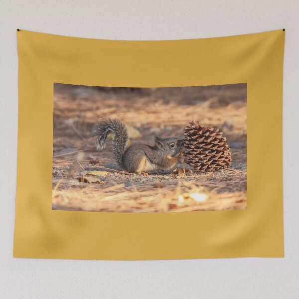 Item preview, Douglas' Squirrel designed and sold by jvnimages.