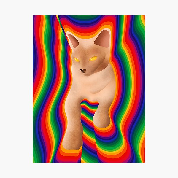 Item preview, Lilac Burmese  designed and sold by unepommedeterre.