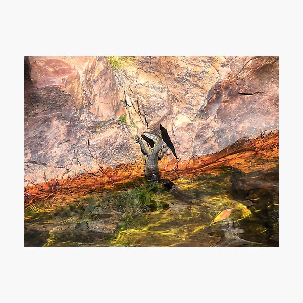 Item preview,  Water Monitor designed and sold by SACRED NATURE DESIGNS.