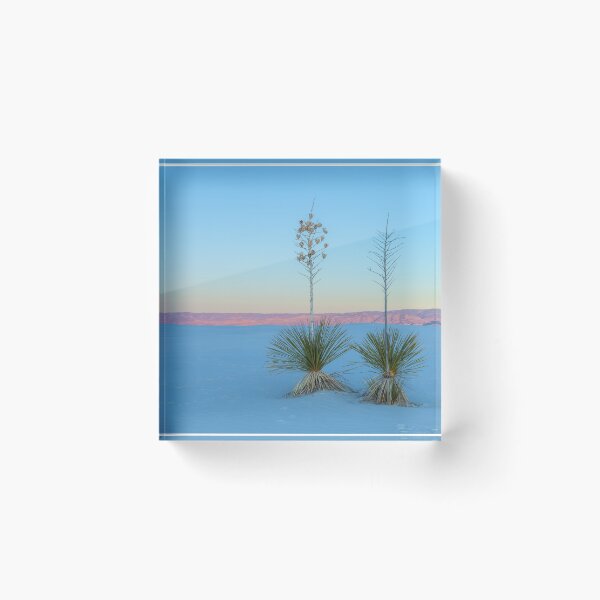Item preview, couple yuccas designed and sold by jvnimages.