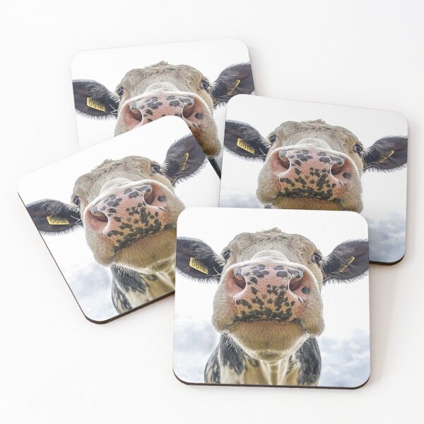 Item preview, Cow nose designed and sold by Masonjake.