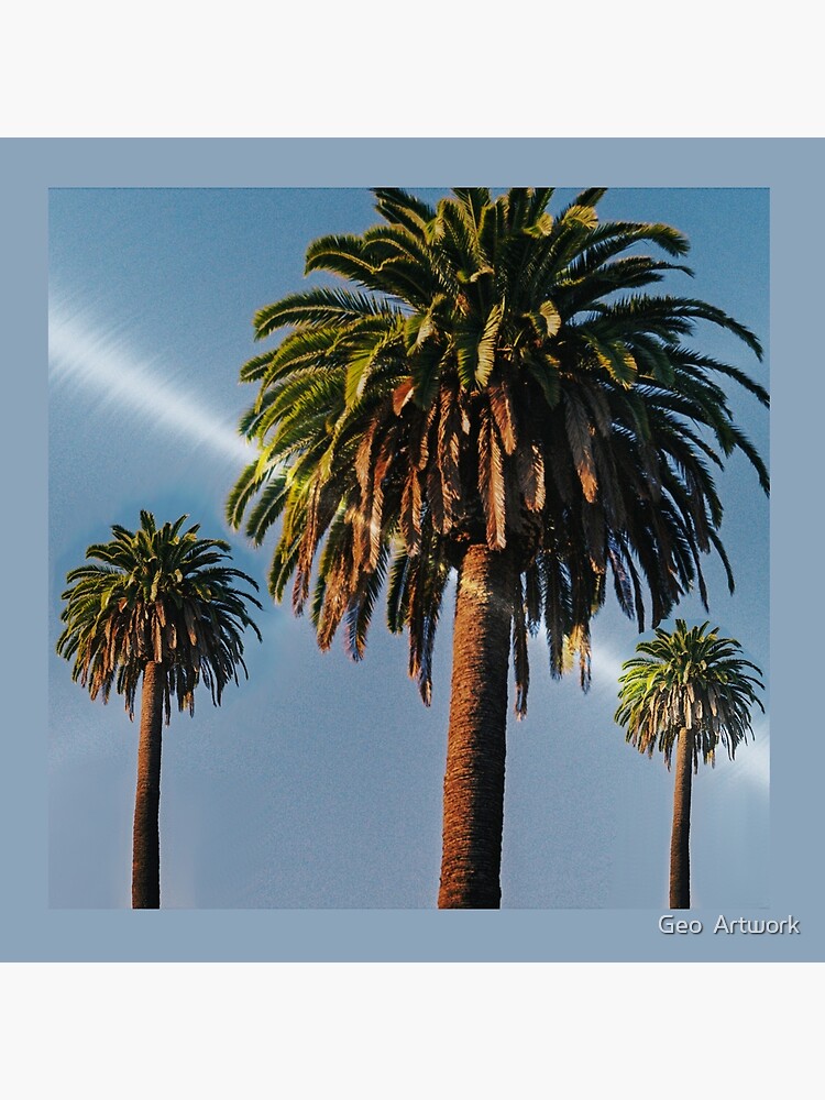 Thumbnail 4 of 4, Pillow, Palm Trees With A Flash Of Sunlight. designed and sold by BDMcT.