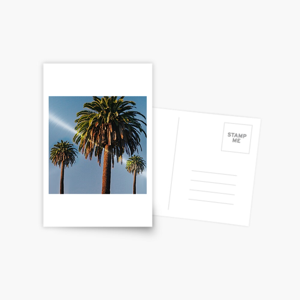 Item preview, Postcard designed and sold by BDMcT.