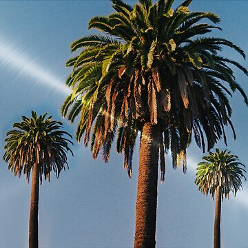 Artwork thumbnail, Palm Trees With A Flash Of Sunlight. by Geo Artwork