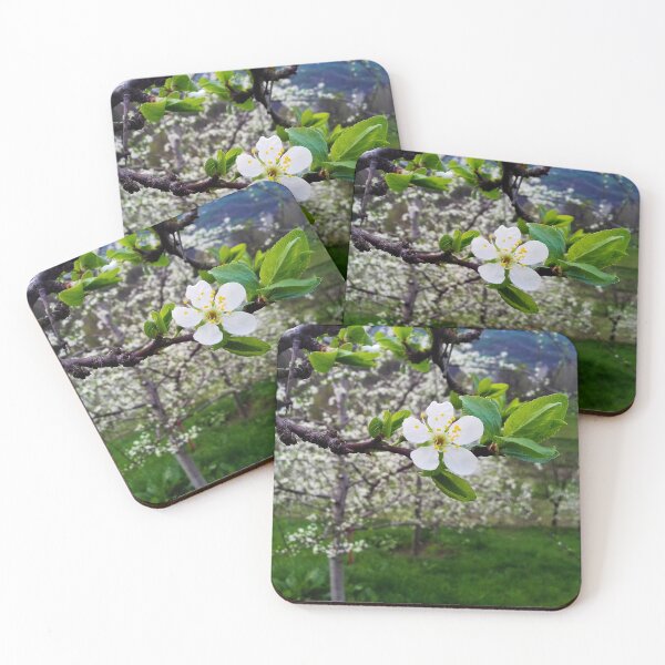 Item preview, Fruit blooms in spring designed and sold by Mahirov Shop.