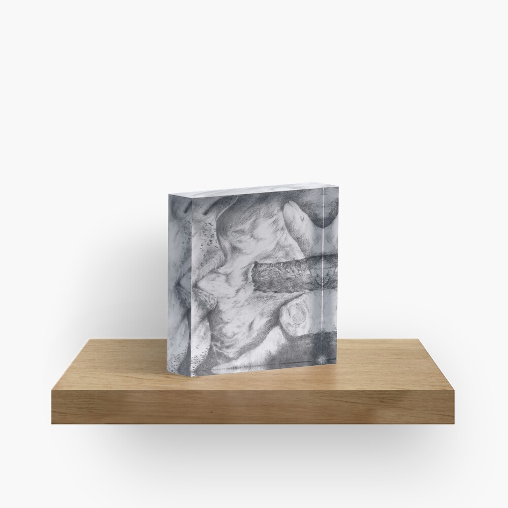 Float Acrylic Block