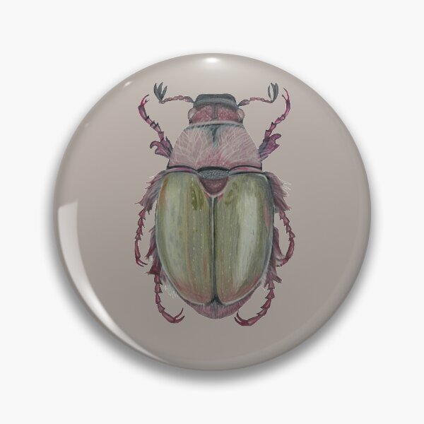 Item preview, Apple Fairy Chafer Beetle (Proagopertha lucidula) designed and sold by beetlelady.