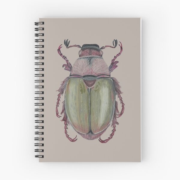 Item preview, Apple Fairy Chafer Beetle (Proagopertha lucidula) designed and sold by beetlelady.