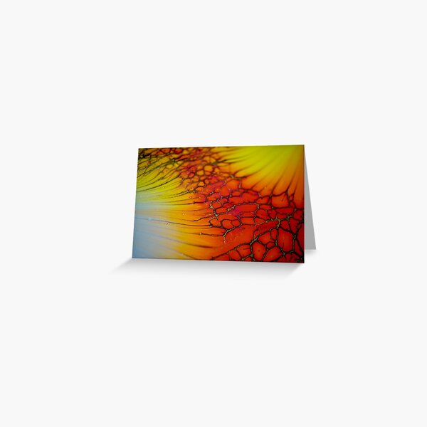 Experiment 164 Greeting Card