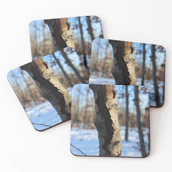 Item preview, Cracked bark on a tree in the woods designed and sold by Mahirov Shop.
