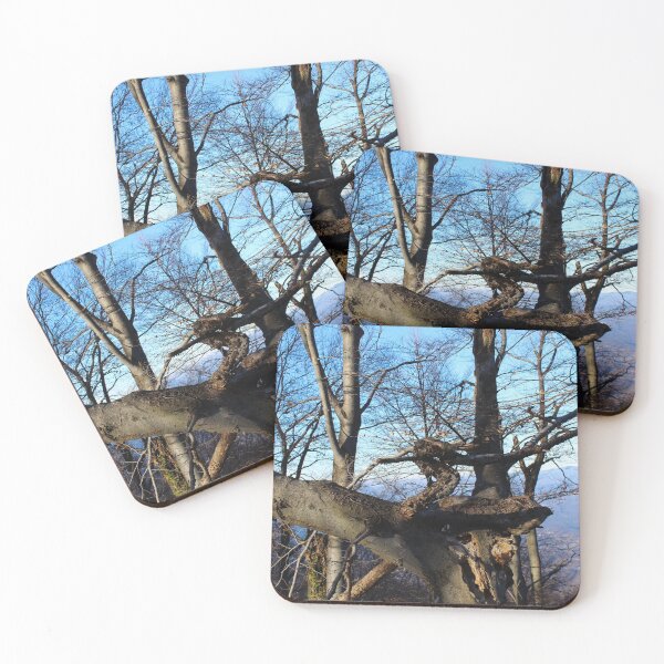 Item preview, Branches on the tree go in strange directions designed and sold by Mahirov Shop.
