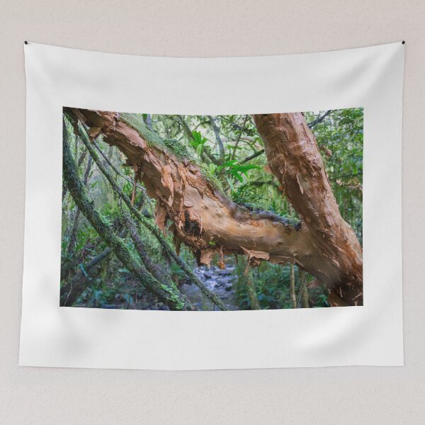 Item preview, Peeling Bark. designed and sold by Anne Scantlebury.