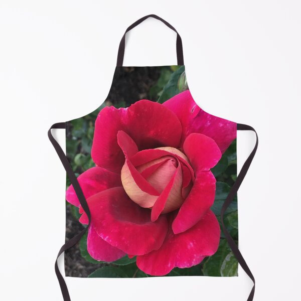 Item preview, Flaming Peace/Kronenburg Exquisite Scarlet and Gold Rose designed and sold by RoseAromas.