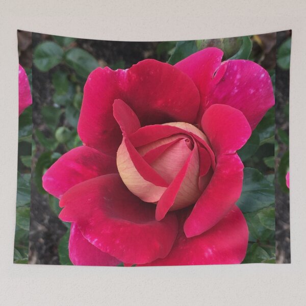 Item preview, Flaming Peace/Kronenburg Exquisite Scarlet and Gold Rose designed and sold by RoseAromas.