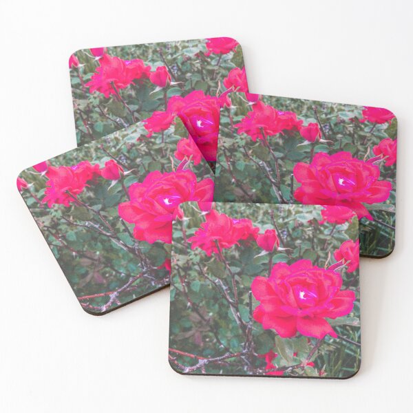 Item preview, Pink Rose Bush Retro Photo designed and sold by graemariedesign.