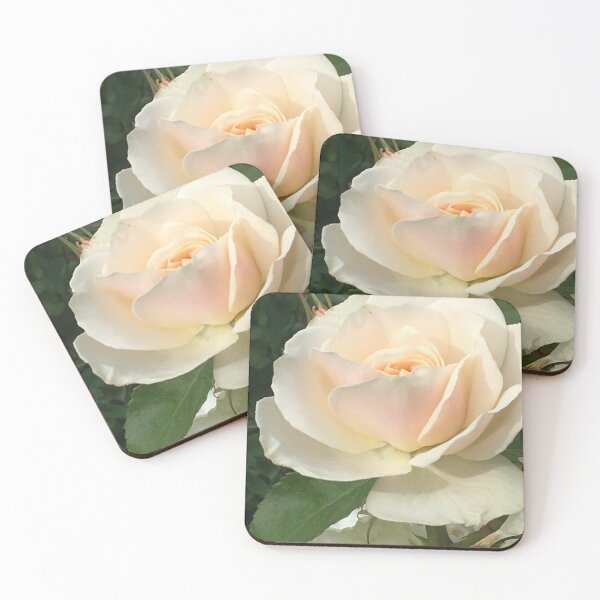 Item preview, The Splendour of Gruss An Aachen in Full Summer Bloom -  designed and sold by RoseAromas.