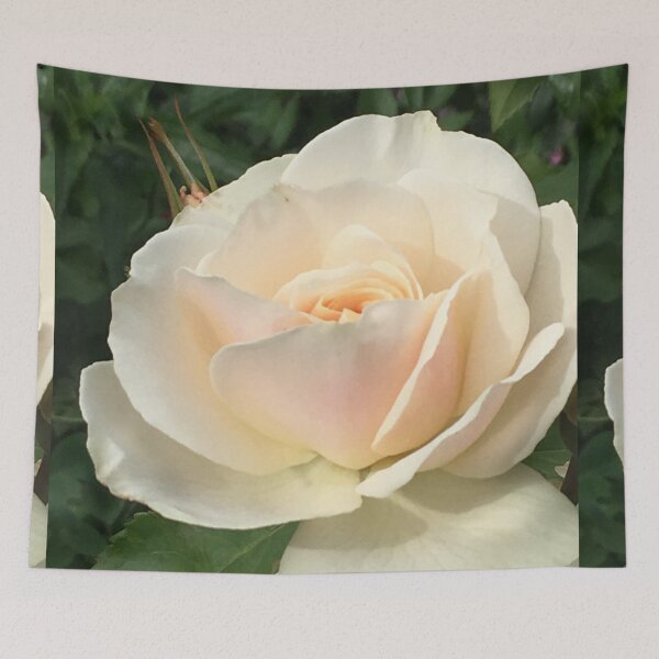 Item preview, The Splendour of Gruss An Aachen in Full Summer Bloom -  designed and sold by RoseAromas.