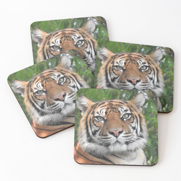 Item preview, Sumatran Tiger designed and sold by kirstybush.