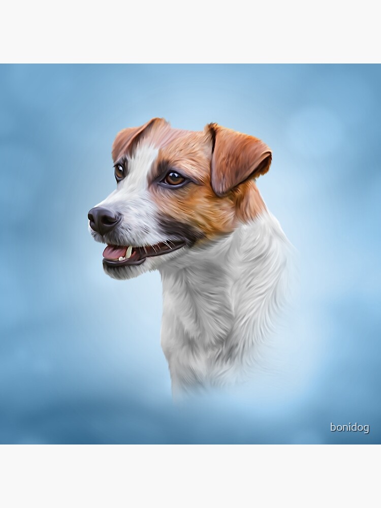 "Jack Russell Terrier. Drawing" Poster for Sale by bonidog | Redbubble