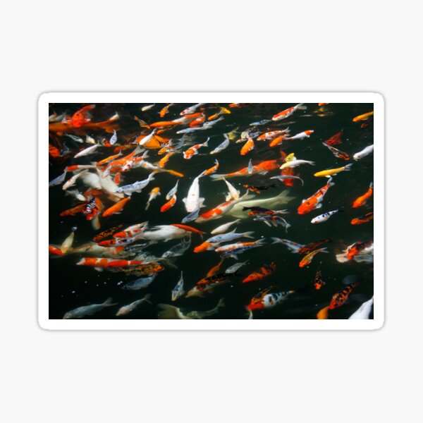 Item preview, Fish Frenzy designed and sold by jwwallace.
