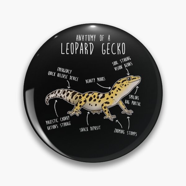 Item preview, Anatomy of a Leopard Gecko designed and sold by Clara Hollins.