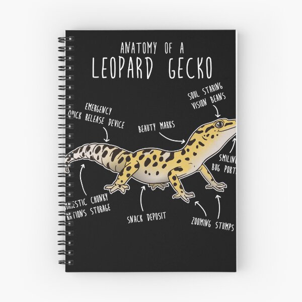 Artikelvorschau, Anatomie eines Leopardengeckos entworfen und verkauft von Clara Hollins.
