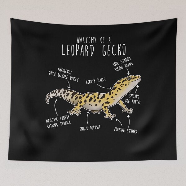 Item preview, Anatomy of a Leopard Gecko designed and sold by Clara Hollins.